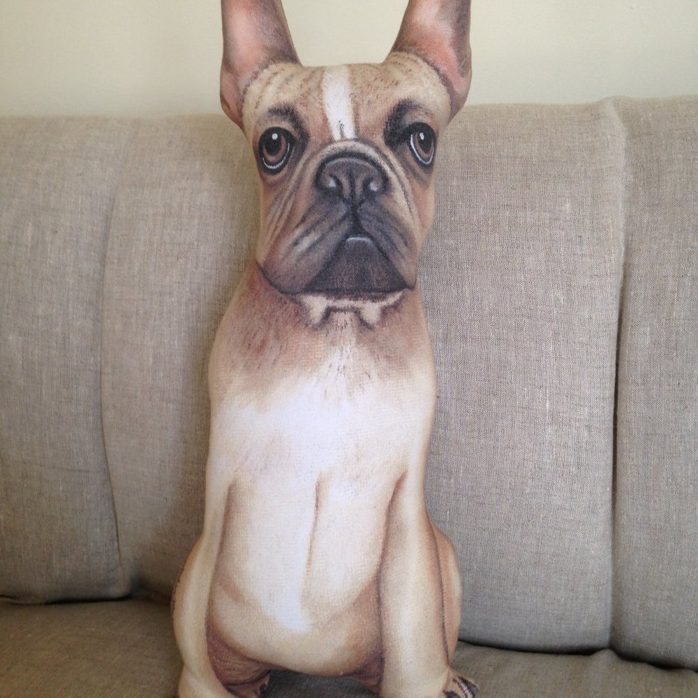 New! French Bulldog Pillow Brand New!